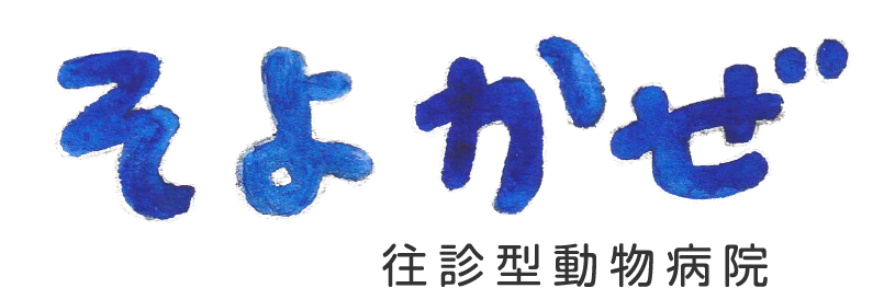 埼玉県の往診型動物病院そよかぜ | 越谷市・吉川市・草加市・八潮市・三郷市・松伏町・川口市
